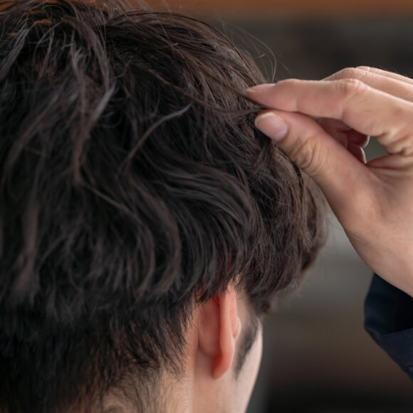 おすすめセットメニュー