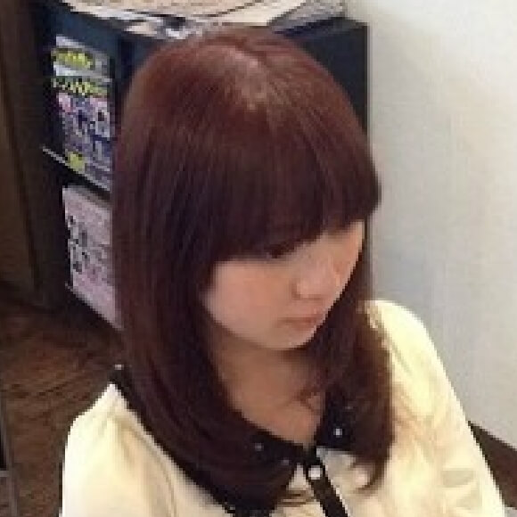 おすすめセットメニュー